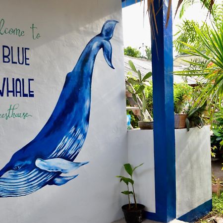 Blue Whale Guesthouse Gili Trawangan Dış mekan fotoğraf
