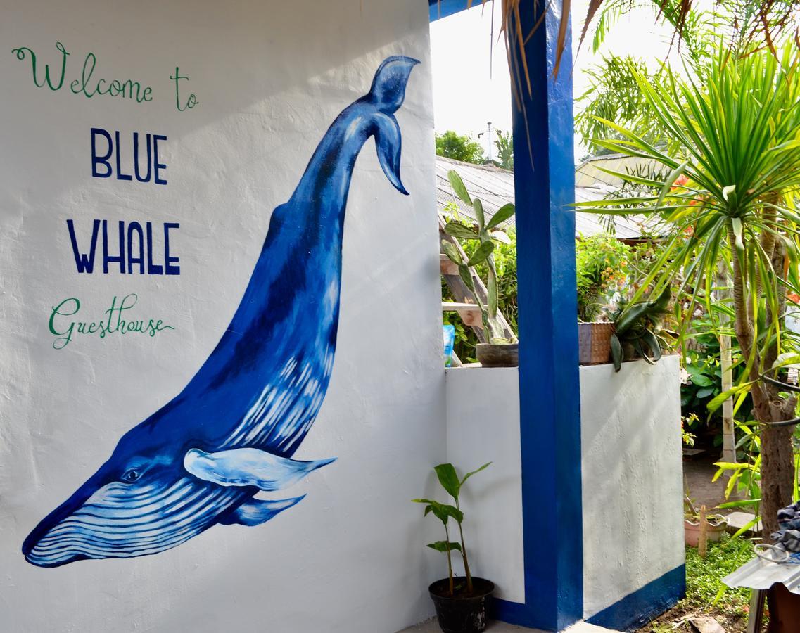Blue Whale Guesthouse Gili Trawangan Dış mekan fotoğraf